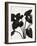 Plant Portrayal - Taro-Kristine Hegre-Framed Giclee Print