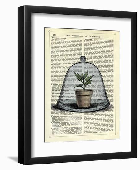 Plant Pot in Glass Cloche-Marion Mcconaghie-Framed Art Print