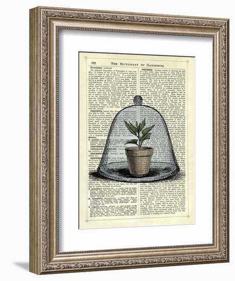 Plant Pot in Glass Cloche-Marion Mcconaghie-Framed Art Print