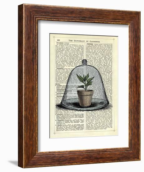 Plant Pot in Glass Cloche-Marion Mcconaghie-Framed Art Print