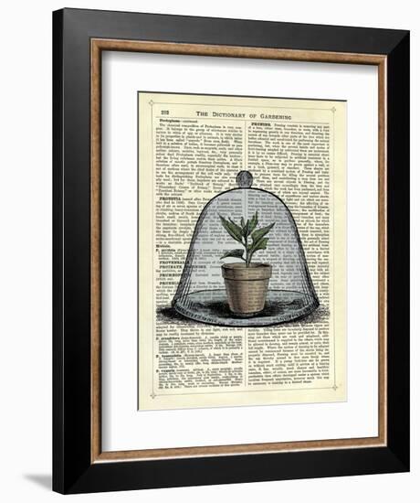 Plant Pot in Glass Cloche-Marion Mcconaghie-Framed Art Print