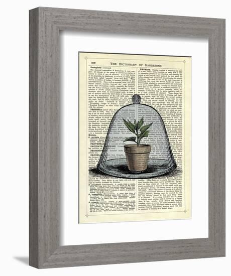 Plant Pot in Glass Cloche-Marion Mcconaghie-Framed Art Print