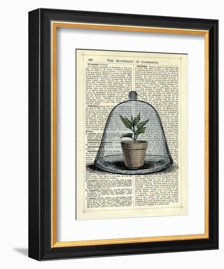 Plant Pot in Glass Cloche-Marion Mcconaghie-Framed Art Print