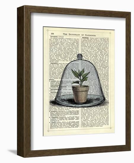 Plant Pot in Glass Cloche-Marion Mcconaghie-Framed Art Print