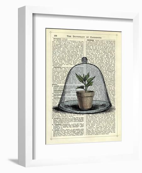 Plant Pot in Glass Cloche-Marion Mcconaghie-Framed Art Print