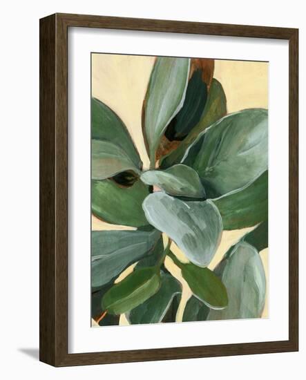 Plant Study I-Annie Warren-Framed Art Print