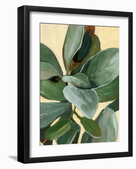 Plant Study I-Annie Warren-Framed Art Print