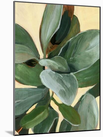 Plant Study I-Annie Warren-Mounted Art Print