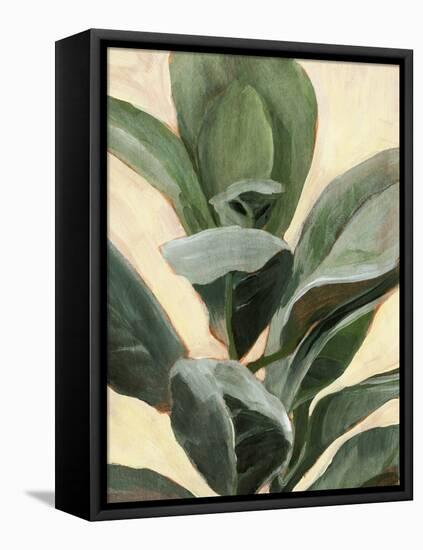 Plant Study II-Annie Warren-Framed Stretched Canvas