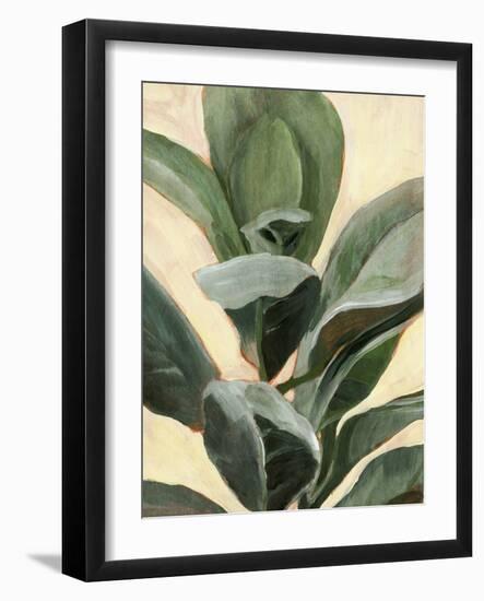Plant Study II-Annie Warren-Framed Art Print