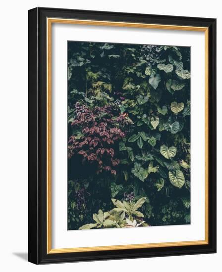Plant Wall-Design Fabrikken-Framed Photographic Print