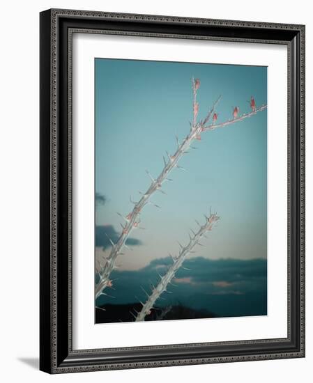 Plant-NaxArt-Framed Art Print