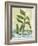 Plant-Anne Cote-Framed Giclee Print