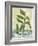 Plant-Anne Cote-Framed Giclee Print