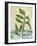 Plant-Anne Cote-Framed Giclee Print