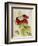 Plant-Maria Sibylla Merian-Framed Art Print