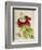 Plant-Maria Sibylla Merian-Framed Premium Giclee Print