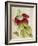 Plant-Maria Sibylla Merian-Framed Art Print