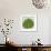 Planta Green IV-Andrea Davis-Framed Art Print displayed on a wall