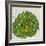 Planta Green IV-Andrea Davis-Framed Art Print