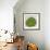 Planta Green IV-Andrea Davis-Framed Art Print displayed on a wall