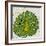 Planta Green IV-Andrea Davis-Framed Art Print