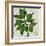 Planta Green IX-Andrea Davis-Framed Art Print