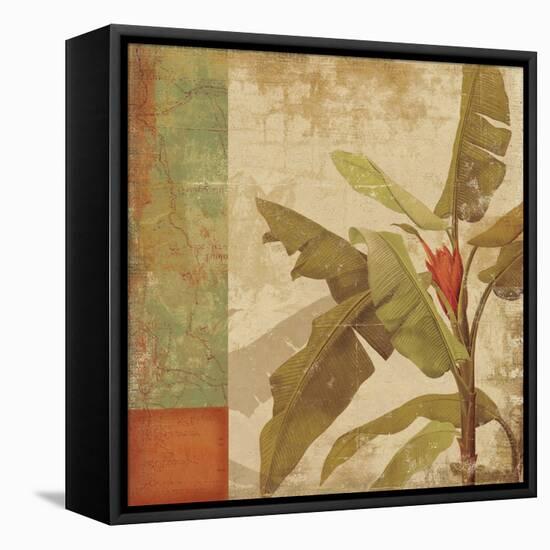 Planta-Andrew Michaels-Framed Stretched Canvas