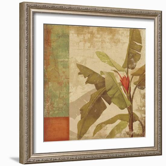 Planta-Andrew Michaels-Framed Art Print