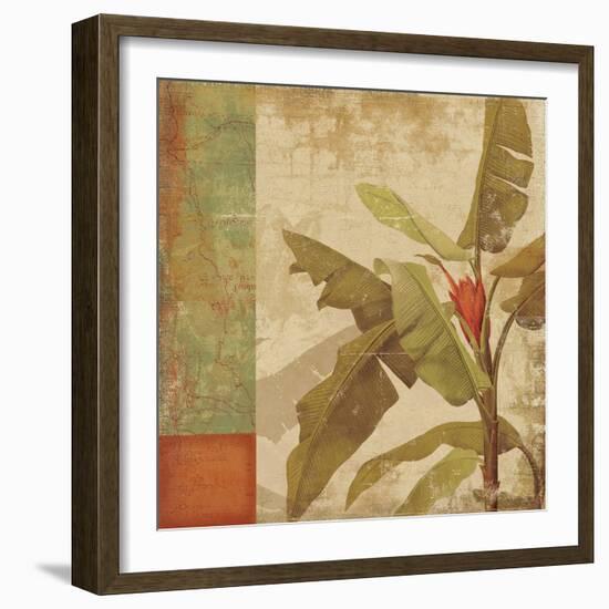 Planta-Andrew Michaels-Framed Art Print