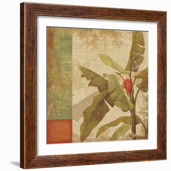 Planta-Andrew Michaels-Framed Art Print