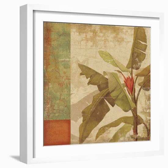 Planta-Andrew Michaels-Framed Art Print