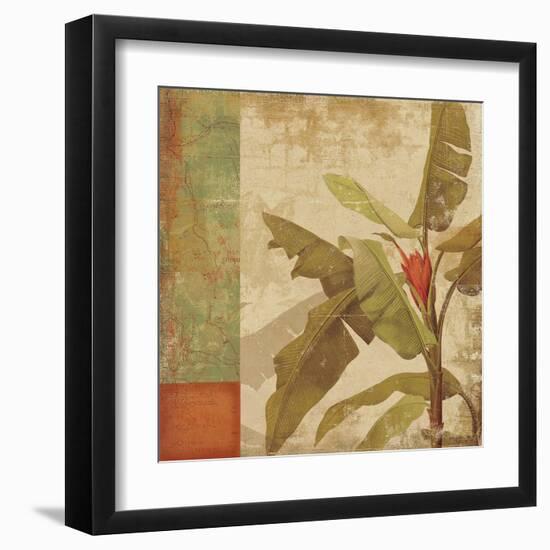 Planta-Andrew Michaels-Framed Art Print