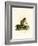 Plantain Squirrel-null-Framed Giclee Print