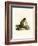 Plantain Squirrel-null-Framed Giclee Print