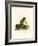 Plantain Squirrel-null-Framed Giclee Print