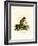 Plantain Squirrel-null-Framed Giclee Print