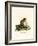 Plantain Squirrel-null-Framed Giclee Print