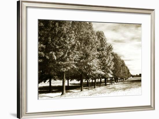 Plantation Road 1-Alan Hausenflock-Framed Photographic Print