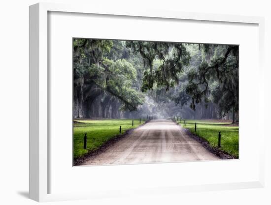 Plantation Road, Charleston, South Carolina-George Oze-Framed Photographic Print