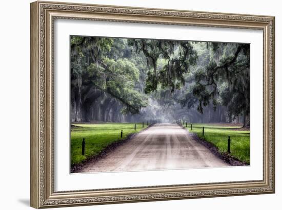 Plantation Road, Charleston, South Carolina-George Oze-Framed Photographic Print