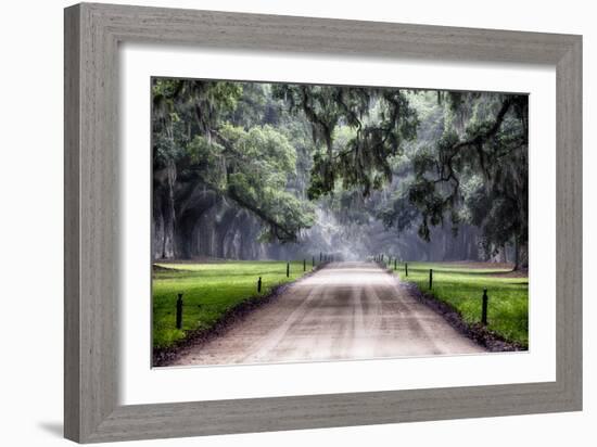 Plantation Road, Charleston, South Carolina-George Oze-Framed Photographic Print