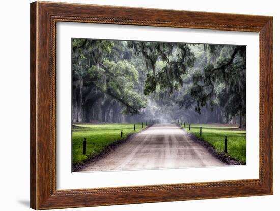 Plantation Road, Charleston, South Carolina-George Oze-Framed Photographic Print