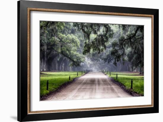 Plantation Road, Charleston, South Carolina-George Oze-Framed Photographic Print