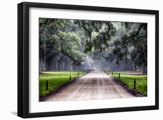 Plantation Road, Charleston, South Carolina-George Oze-Framed Photographic Print