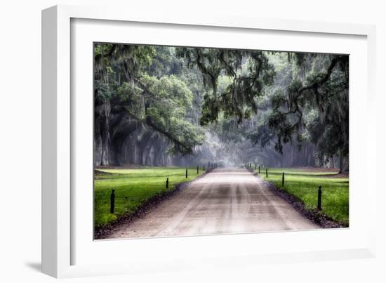 Plantation Road, Charleston, South Carolina-George Oze-Framed Photographic Print