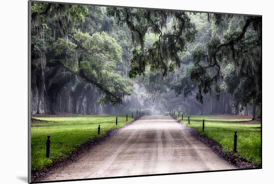 Plantation Road, Charleston, South Carolina-George Oze-Mounted Photographic Print