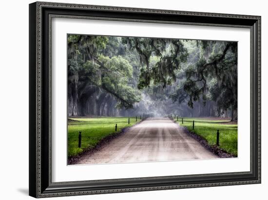 Plantation Road, Charleston, South Carolina-George Oze-Framed Photographic Print