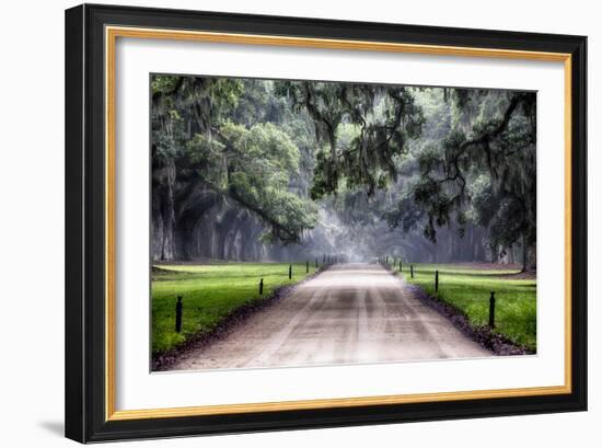 Plantation Road, Charleston, South Carolina-George Oze-Framed Photographic Print