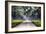 Plantation Road, Charleston, South Carolina-George Oze-Framed Photographic Print